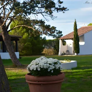 Mas Mls Hotel Saintes-Maries-de-la-Mer